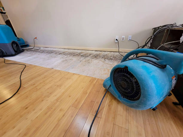 Professional Water Removal technician working in Cairo, GA